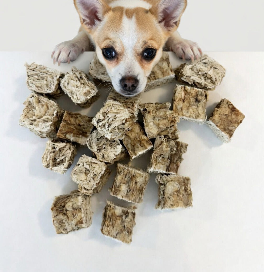 Zeebaars Bonbon (Vis) - productfoto