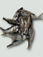 zalm forel